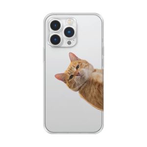 custom phonecase