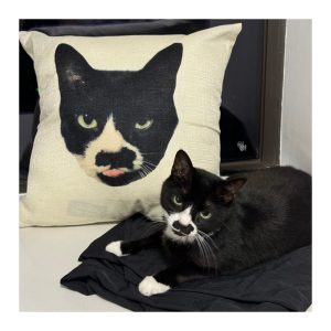 custom pillowcase